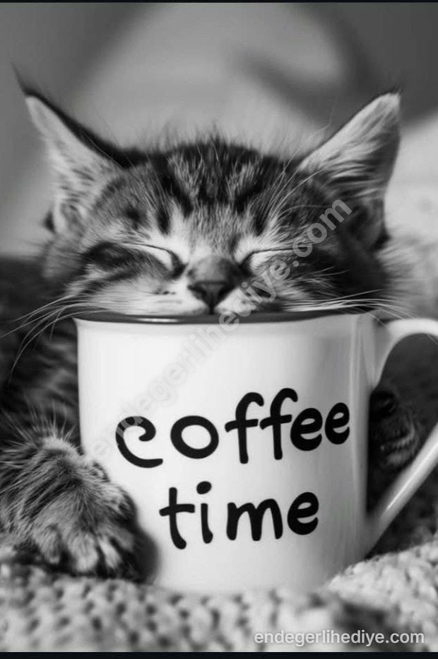 Kahve Keyfi Uyuyan Yavru Kedi Kanvas Tablo