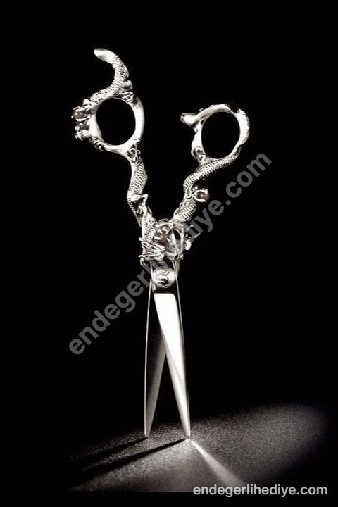 Ejderha Pençesi Sanatı: Gümüş Makas Kanvas Tablo