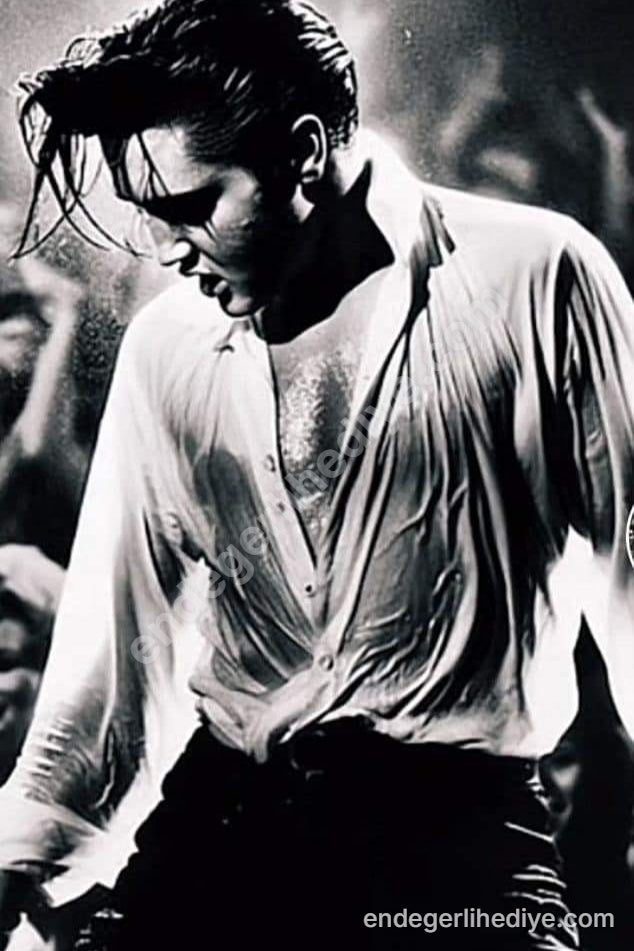 Elvis Presley Terli Sahne Performansı Kanvas Tablo