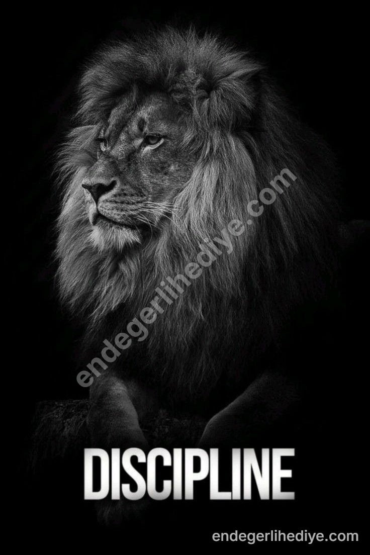 Aslan ve Disiplin: Gücün Sembolü Kanvas Tablo