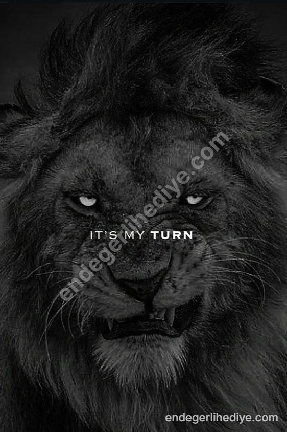 Benim Sıram Motivasyon Aslanı Kanvas Tablo