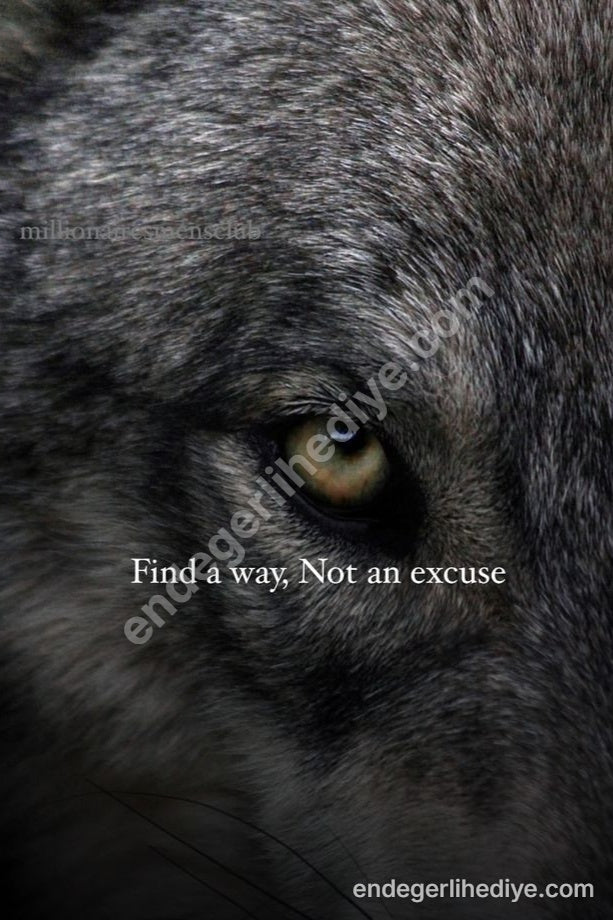 Kurt Gözü Motivasyon Kanvas Tablo - Mazeret Yok